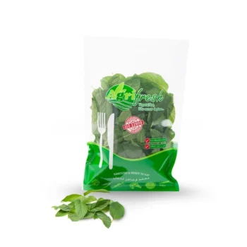 Mint Leaves Sanitized 100g