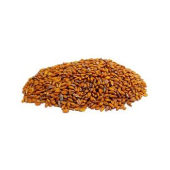 Biomass Cress Rachad