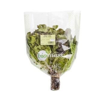 Biomass Organic Fresh Red Oak Per Pc