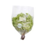 Biomass Organic Fresh Green Oak Per Pc